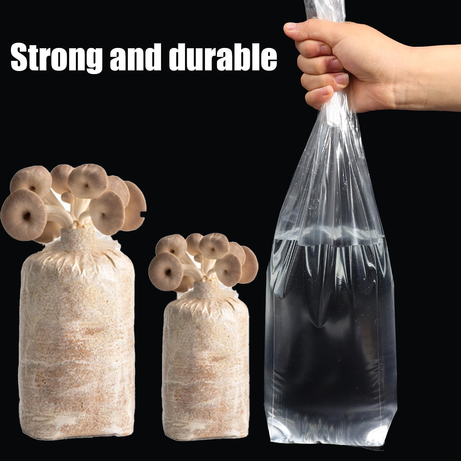 Mushroom Spawn Bag - 5 Stuks Paddestoel Spawn Grow Bag