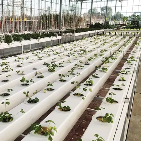 Hydroponic Nft Channel - Commerciële hydroponische plantensystemen NFT pijpkanalen landbouw