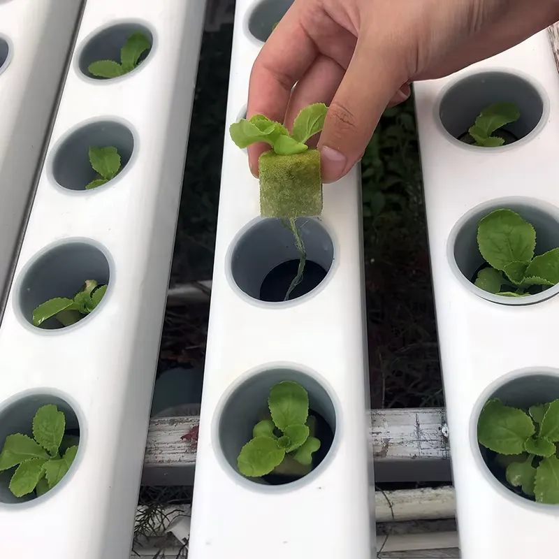 75x50mm op maat gemaakt PVC-pr - Hydroponic Nft Channel recensie en prijs