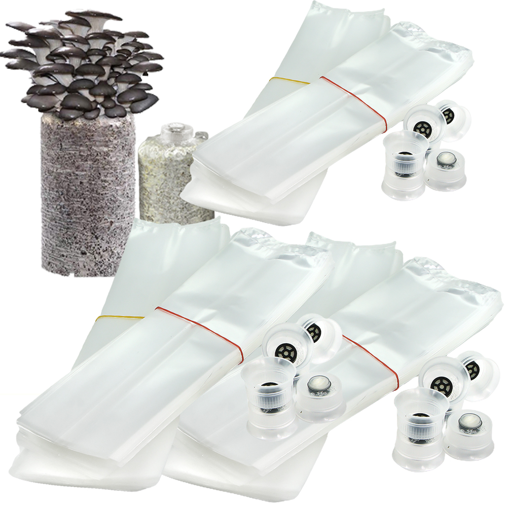50/100PCS Paddestoel Spawn Gro - Mushroom Spawn Bag recensie en prijs