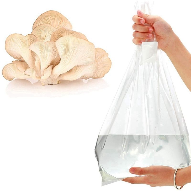 PZHI-100 stuks paddenstoelenkw - Mushroom Spawn Bag recensie en prijs