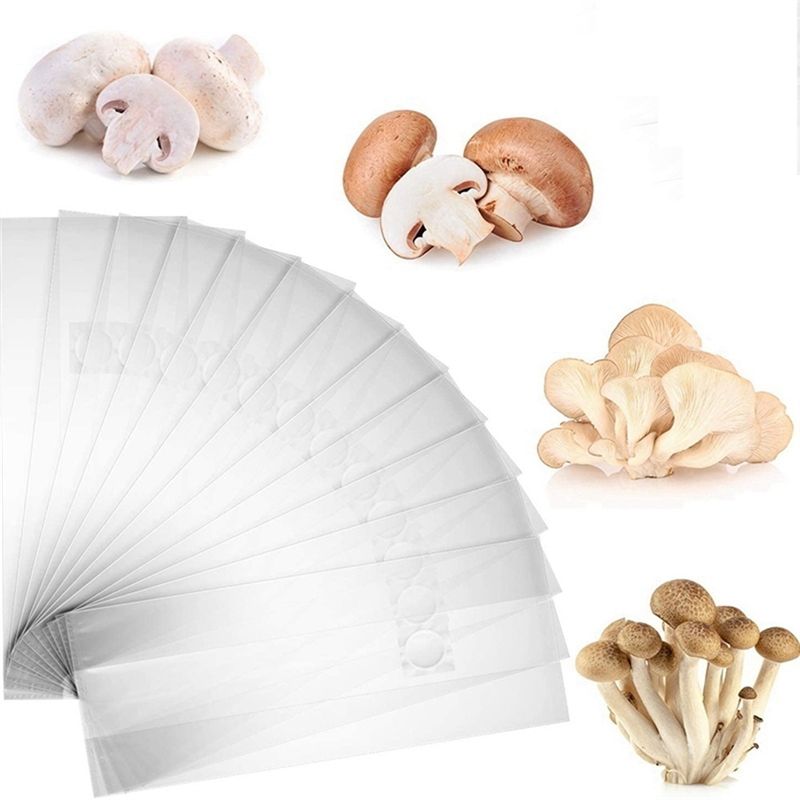 PZHI-100 stuks paddenstoelenkw - Mushroom Spawn Bag recensie en prijs