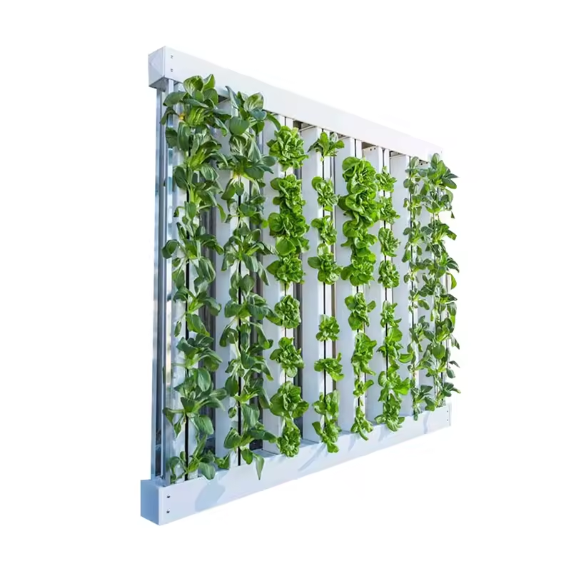 PVC-buis landbouwkas groentete - Hydroponic Nft Channel recensie en prijs