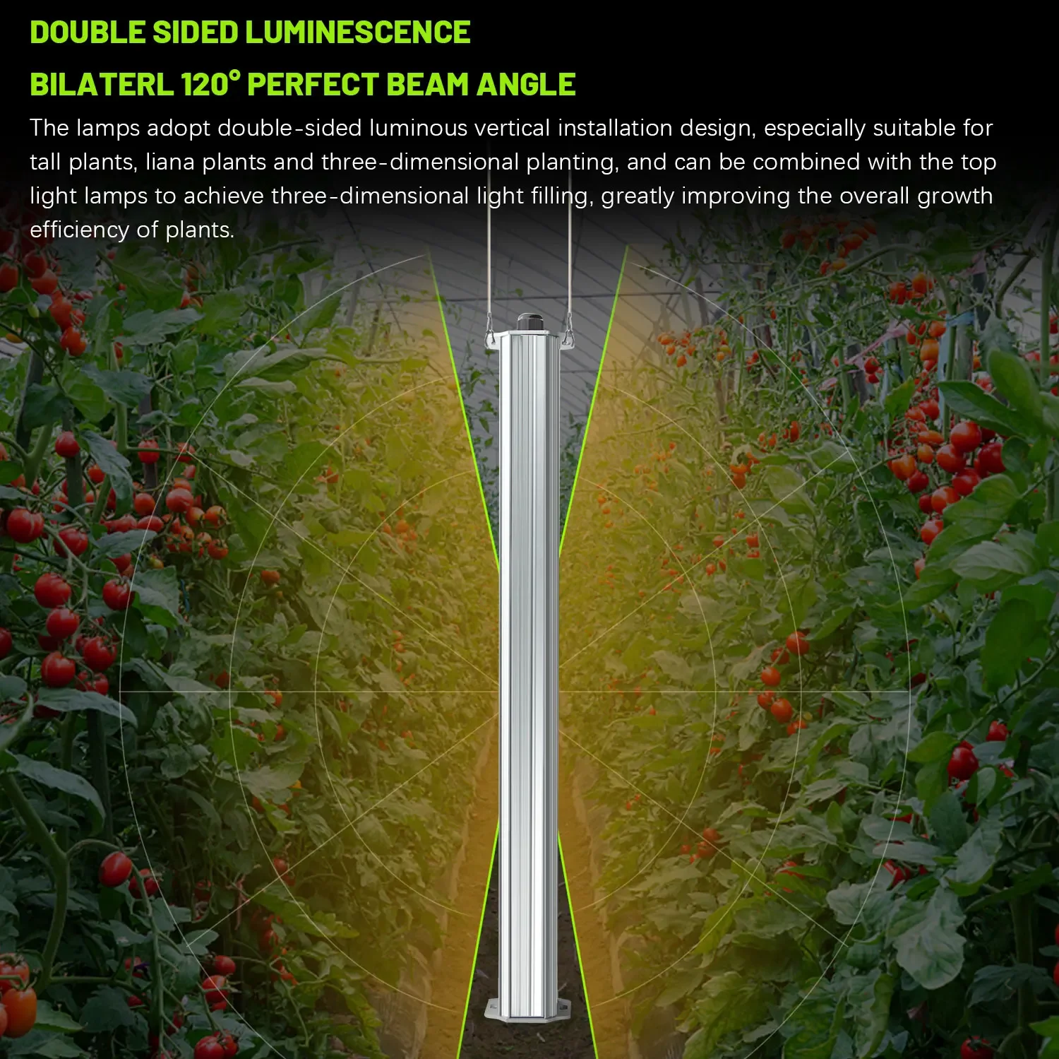 Beste ETL-gecertificeerde plan - List Of Agriculture Farming recensie en prijs