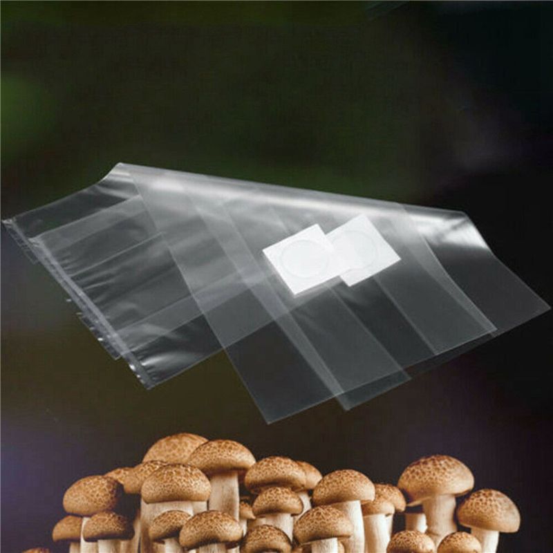 Y50A-250 stuks PVC champignonk - Mushroom Spawn Bag recensie en prijs